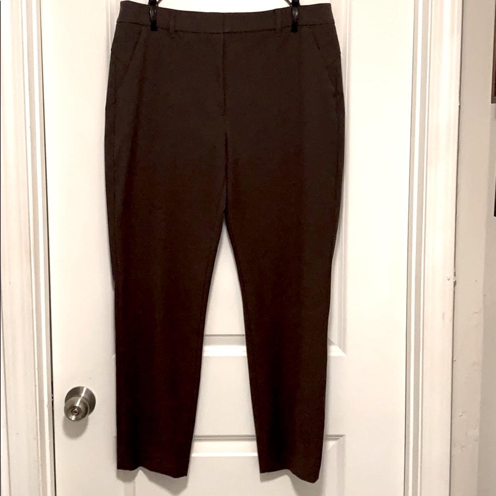 WHBM SZ 12 high waisted Brown pant NWOT